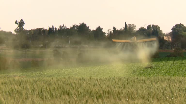 Best Spider Control  in Columbia Falls, MT